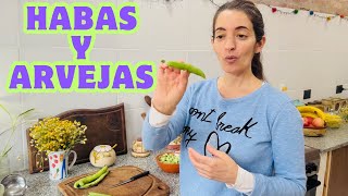 Habas y Arvejas Receta habas arvejas comidasveganas recetasfaciles food recetasveganas veg [upl. by Eisej]