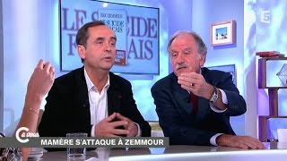 Ménard et Mamère sur Zemmour  C à vous  25112014 [upl. by Martinson615]