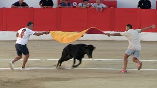 Suelta de vaquillas en la Mezquita del Toreo ante numerosos jóvenes [upl. by Zilla]