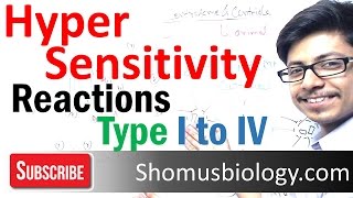 Hypersensitivity reactions type 1 type 2 type 3 and type 4 hypersensitivity [upl. by Spevek]