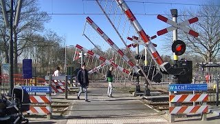 Spoorwegovergang Waddinxveen  Dutch railroad crossing [upl. by Inele]