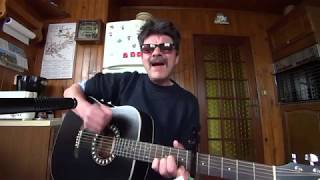 Derrière lamour JOHNNY HALLYDAY cover guitare [upl. by Cyna]