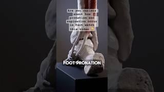 Master Pronation amp Supination Foot Mechanics Simplified for Students PronationVsSupination [upl. by Penland]