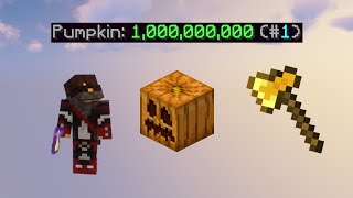 Becoming the True 1 Pumpkin Farmer in Hypixel Skyblock [upl. by Brunhilde]