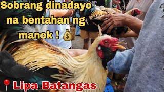 Dagsa nanaman ang mga Manok dito sa Lipa Batangas [upl. by Ronile]