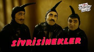 Çok Filim Hareketler Bunlar  Sivrisinekler [upl. by Germaine]