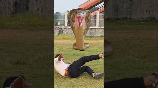 Anaconda Snake in real life P17shortssnake python snakes naginanaconda bigsnake viralvideo [upl. by Erica]