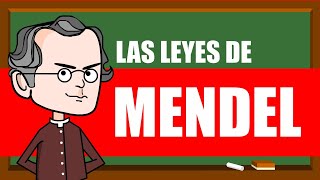 LAS LEYES DE MENDEL 🌿🌿🌿 EXPLICACIÓN Fácil y Rápido [upl. by Navinod]