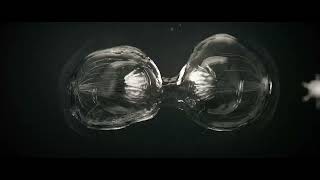 Cell divisionMitosis animated 3D models Houdini 195  Hip file [upl. by Etep]