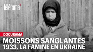 En Ukraine la famine de 1933 c’est plus de 4 millions de morts et seulement 26 photographies [upl. by Acireed451]