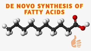 fatty acid synthesis de novo synthesis of fatty acids palmitate synthesis [upl. by Yelnek]