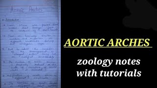 AORTIC ARCHES IN HINDIaorticarch bsc1styearzoology zoologynotes bbmku vbu skmu [upl. by Niwri]