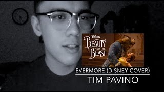 Evermore Disney Cover  Tim Pavino [upl. by Arlo]