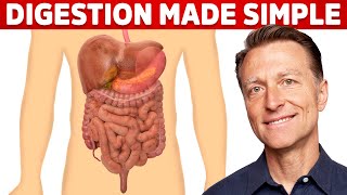 Your Digestive System Explained in Simple Terms [upl. by Lebasy]