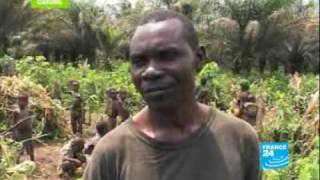 Pygmies endangered people [upl. by Kanor]