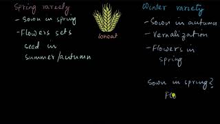 Vernalization  Plant growth and development  Biology  Khan Academy [upl. by Domenico601]