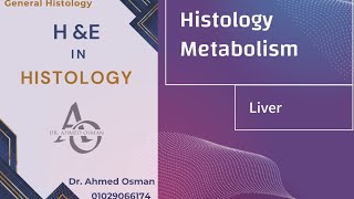 Liver Histology Metabolism [upl. by Callery]