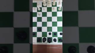 Soller gambit song chess chessmakta sollergambit chessopening [upl. by Noyerb]