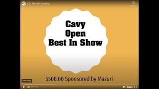 2021 ARBA BIS Cavy Open [upl. by Nimad]