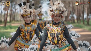 Tari Pabat Pibui asli Kalimantan [upl. by Ariadne]