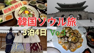 【韓国ソウル旅行】旅行前に恐れていた事が起こってしまった最悪な事態！チマチョゴリを着て景福宮広蔵市場韓国穴場スタバプチョンユッケ東大門デザインプラザオダリチプ カンジャンケジャン [upl. by Solokin44]