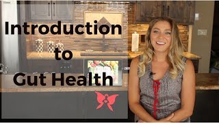 Introduction To Gut Health [upl. by Maxima44]