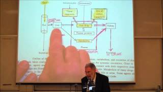 PHARMACOKINETICS Absorption amp Distribution by Professor Fink [upl. by Tonya]