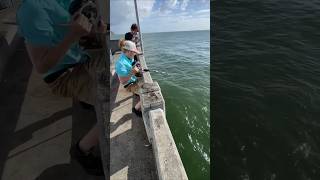 Catching a large fish is really hard shortsvideo [upl. by Nautna632]