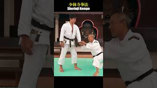 Shorinji Kempo collapsing technique shorinjikempo [upl. by Sky]