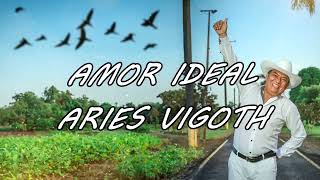 Aries Vigoth  Amor Ideal Karaoke [upl. by Weiser]