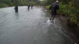 Sockeye Salmon Fishing On The Kasilof River [upl. by Jaye508]