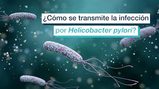 ¿Cómo se transmite la infección por Helicobacter pylori [upl. by Kapeed]