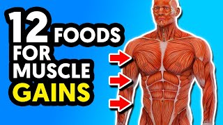 12 Best Foods For Muscle Building and Strength [upl. by Clementina386]