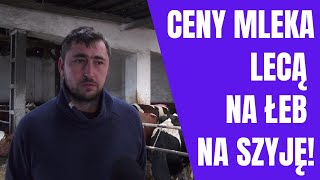 Ceny mleka lecą na łeb na szyję Co na to rolnicy O ile mleko potanieje w lutym [upl. by Kcirded]