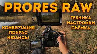 Всё о ProRes RAW и покрасе в Windows [upl. by Nolak]