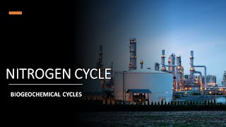 NITROGEN CYCLE  BIOGEOCHEMICAL CYCLES NUTRIENT CYCLES ENVIRONMENTALAPPLIEDSOIL MICROBIOLOGY [upl. by Gyimah]