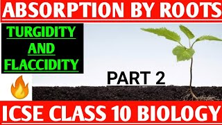 Part 2  Absorption by roots  Turgidity And Flaccidity  ICSE Class 10 Biology [upl. by Airdnala]