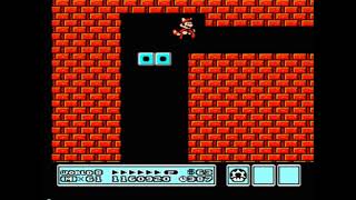 Super Mario Bros 3  Glitch Final Bowser Castle [upl. by Beane]