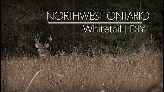 Ontario Whitetail Hunt  DIY  Public Land Deer Hunting [upl. by Halilak]