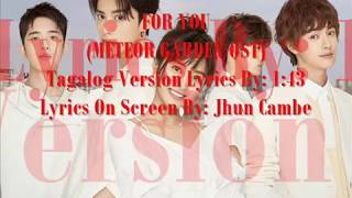 FOR YOU METEOR GARDEN OST Tagalog Version Lyrics [upl. by Savihc845]