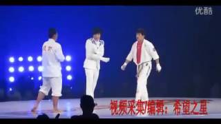 Kungu Fu Vs Kyokushin Karate [upl. by Aerdnua174]