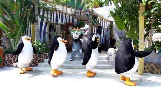 Madagascar Move It Move It Universal Studios Singapore [upl. by Irot]