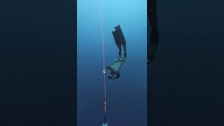 Dive under the direct observation of your dive buddy  Freedive Academy [upl. by Acimad]