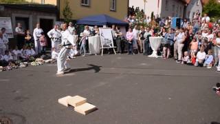 TaekwonDo Michael Fehrer Theilheim [upl. by Odlanyar]