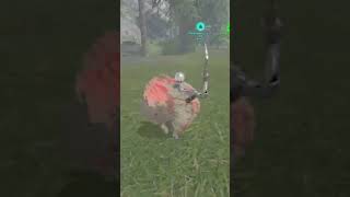 How To Tame A Pteranodon  Ark Survival Evolved 2023 [upl. by Nimaynib]