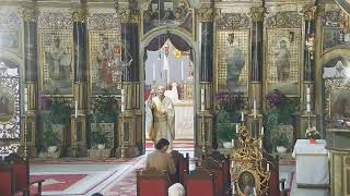 Episcopia GrecoCatolică de Oradea Live Stream [upl. by Hnaht671]