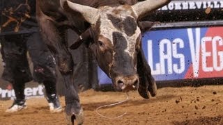 World Champion Bull Bushwacker launches PBRs Brendon Clark [upl. by Sybley196]