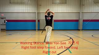 Haidong Gumdo Twohanded sword form 1  Commentary 20241015 [upl. by Macgregor]