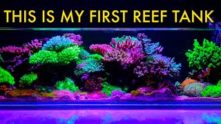 This Nano Aquarium Was My First Ever Reef Tank  Fully loaded with sps and lps [upl. by Blythe]