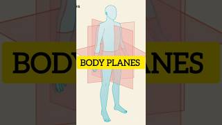 BODY PLANES AND SECTION medial coronal sagittal  Basic Anatomical terms anatomy [upl. by Anaderol]